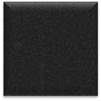 Noir Fin